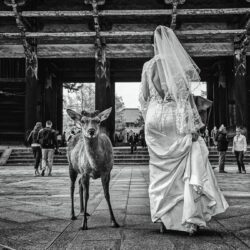 FILMSLOOKS M-JOURNALISM | DARK & CONTRAST - Image 6