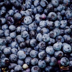 FILMSLOOKS Food Filters | Food 01 Lightroom Presets - Image 2