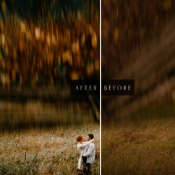 Legacy Presets - Cafa Liu - Cafastyle - Image 2