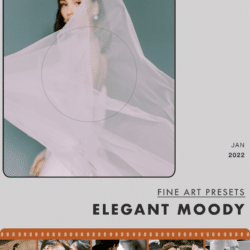 FILMSLOOKS ELEGANT MOODY FINE ART