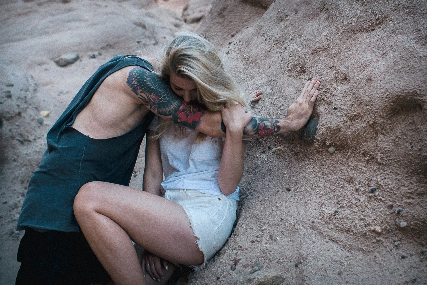 Cobalt Image Film Emulations Fuji Film Modular pack for Lightroom/ACR - Image 6