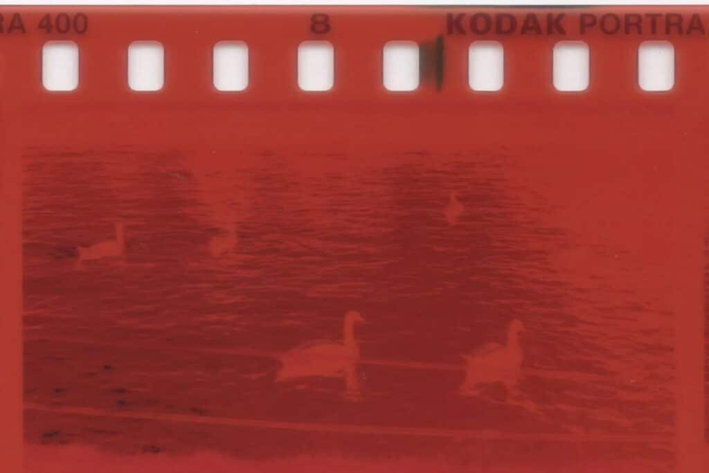 Cobalt Image Film Emulations Cobalt Kodak Film Modular pack for Lightroom/ACR