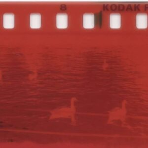 Cobalt Image Film Emulations Cobalt Kodak Film Modular pack for Lightroom/ACR