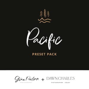 Gina Paulson - GP x DC 'PACIFIC Pack' Presets