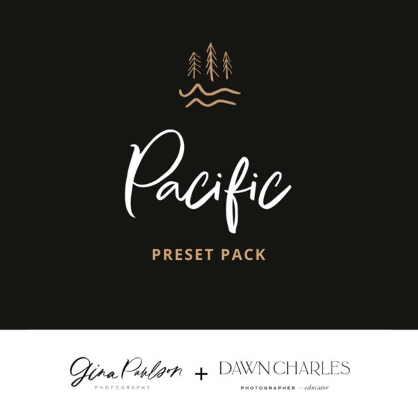 Gina Paulson - GP x DC 'PACIFIC Pack' Presets
