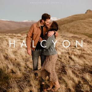 Archipelago – Halcyon Presets