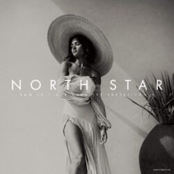 Archipelago – North Star BW Presets