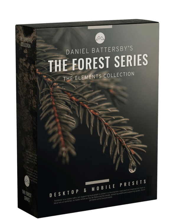 Daniel Battersby – The Forest Series