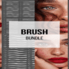 Tamara Williams - Brush Bundle Photoshop