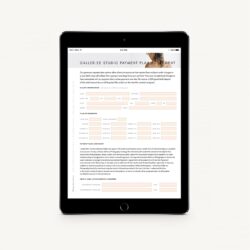 Galler.ee - Interactive Payment Plan Agreement