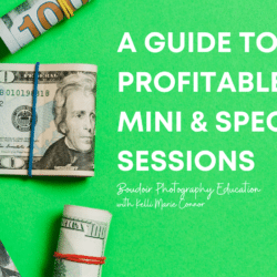 Kelli Marie Connor - Profitable Mini & Specialty Sessions
