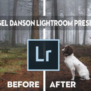 Nigel Danson Lightroom Presets