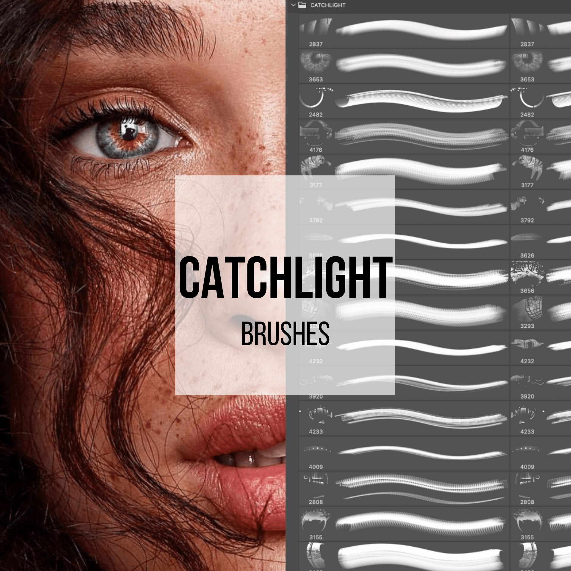 Tamara Williams Catchlight Photoshop Brushes