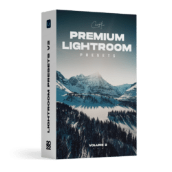 Chris Hau - V2 LR PRESET PACK