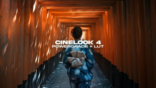 Nomadic George - CineLook 4 - DaVinci Resolve PowerGrade + LUT