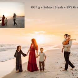 Olive Gray - OGP all PRESETS for LIGHTROOM and ACR - AND BRUSHES and GRADIENTS