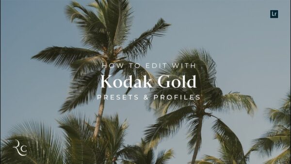 REFINED Kodak Gold