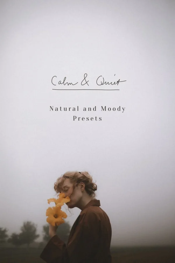 Tina Sosna - Calm & Quiet Preset Package Lightroom Desktop/Mobile